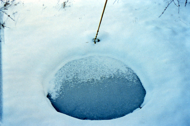 Winter 1994